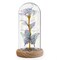 Eternal Preserved LED Rose with Butterfly in Glass Dome Décor